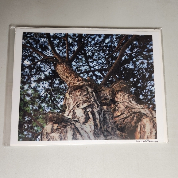 Korbin Berg Mount Horeb, WI Fine Art Photographer/Nature Print 8.5x11" - Picture 1 of 5